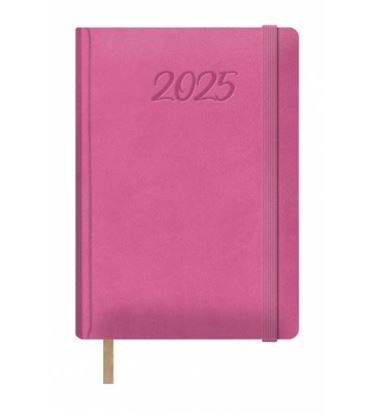 Agenda 2025 dia pagina 15x21 fucsia samba dohe 12885 - 12885