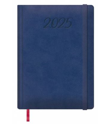 Agenda 2025 dia pagina 17x24 azul manaos dohe 12754 - 12754